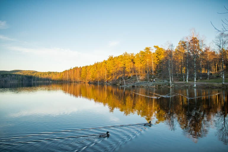 Sognsvann ligger rett ved Olympiatoppen Sportshotel