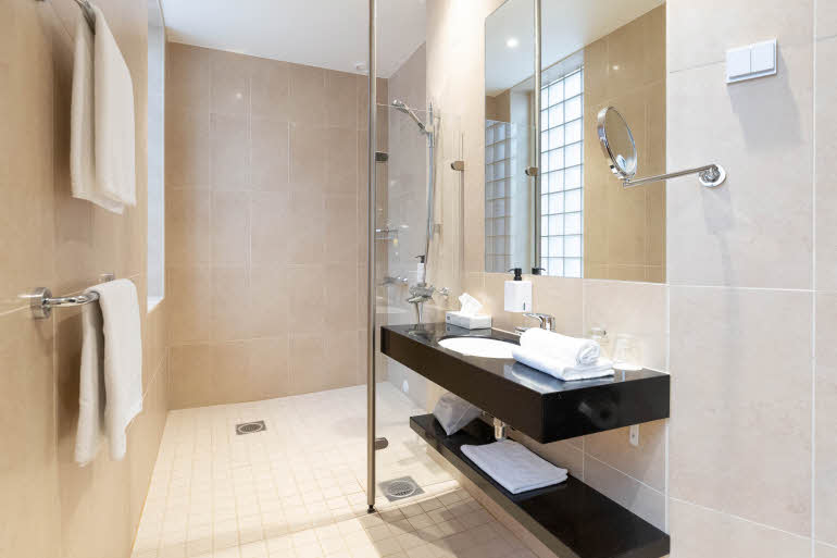 Standard bathroom 