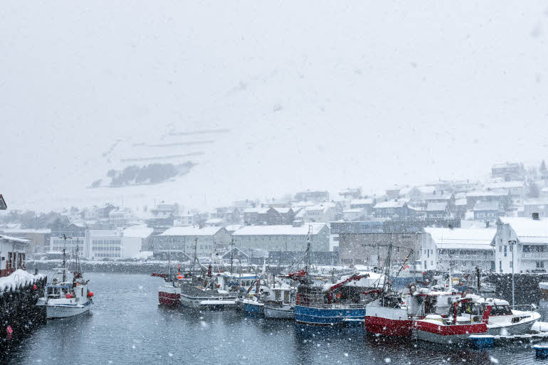 Omgivelser rundt Scandic Bryggen i Honningsvåg