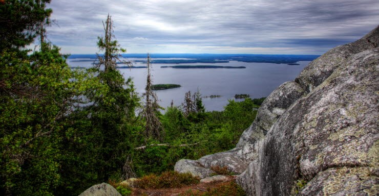 Koli bilderettigheter Visit Finland/Seppo Rinta-Kauppila