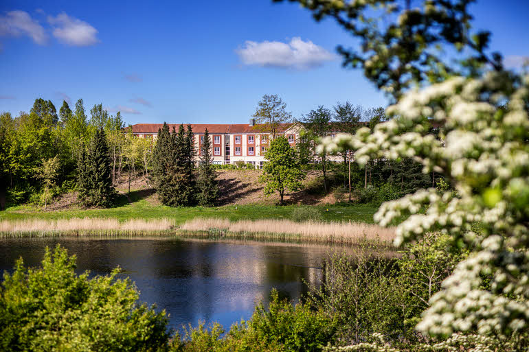 Hotel Facade and Park Overview